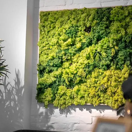 Hébergement de vacances Boxi Jungle House - Unique In Friedrichshain - 3br *