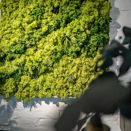 Hébergement de vacances Boxi Jungle House - Unique In Friedrichshain - 3br