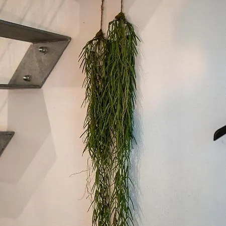 Boxi Jungle House - Unique In Friedrichshain - 3br *