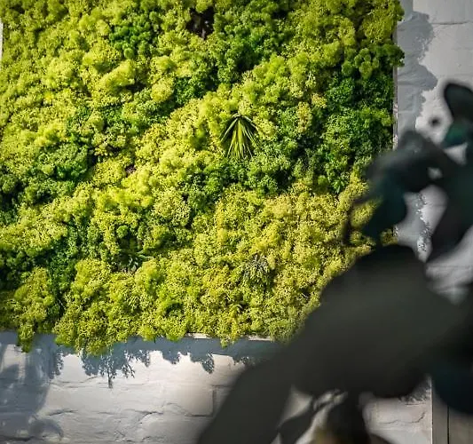 בית נופש Boxi Jungle House - Unique In Friedrichshain - 3br