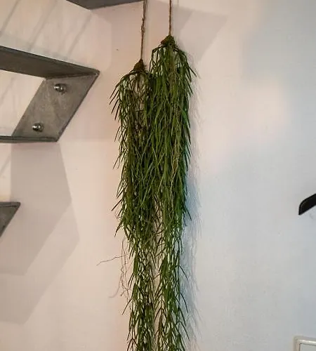 Boxi Jungle House - Unique In Friedrichshain - 3br *