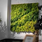 Boxi Jungle House - Unique In Friedrichshain - 3br * 柏林